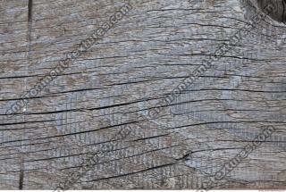Photo Textures of Wood
